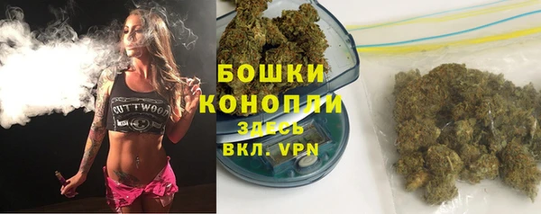 ГАЛЛЮЦИНОГЕННЫЕ ГРИБЫ Беломорск