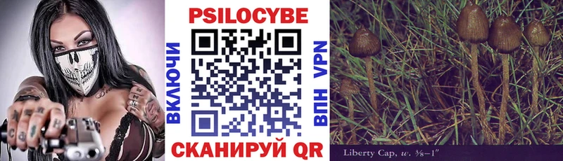 Галлюциногенные грибы прущие грибы  сколько стоит  Железноводск 